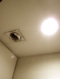 柔らかく優しい印象の流線的デザインでトイレ空間を演出 世田谷区S様邸 柔らかく優しい印象の流線的デザインでトイレ空間を演出 世田谷区S様邸